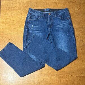 Democracy Dark Blue Straight Leg Jeans